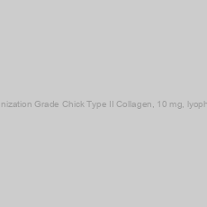 Image of Immunization Grade Chick Type II Collagen, 10 mg, lyophilized